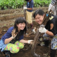 141026　第10回　房総秋祭り (26)